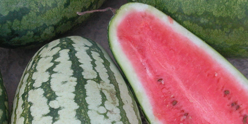 Sandia_roja_vertical