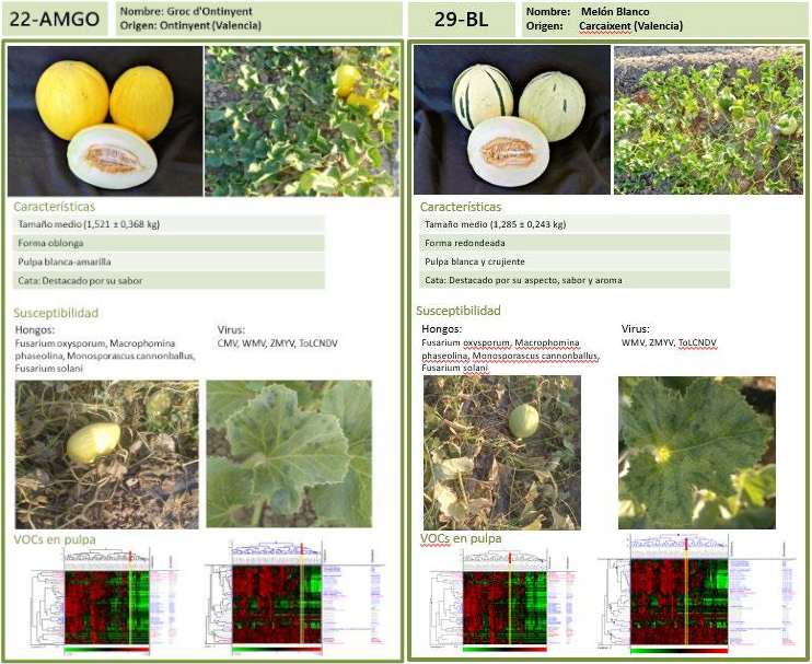 Catálogo informativo