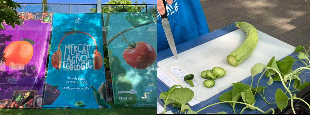 jornadas-ciencia-ciudadana-1